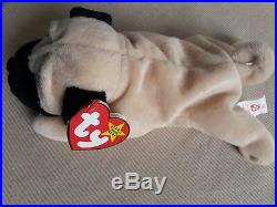 Ty beanie baby Pugsly with Ultra Rare MEL TUSH TAG! Mint Condition! RARE