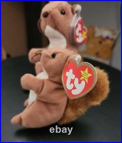 VERY RARE 1996 Ty Beanie Baby NUTS the Squirrel with ERRORS and Cooked Nose