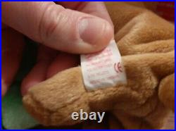 Very Rare Tiny the Chihuahua TY Beanie Baby 1998 Retired Very Cute Puppy Dog