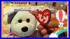 What_Is_Inside_The_Mystery_Box_Beanie_Babies_Official_Club_From_2004_01_wa