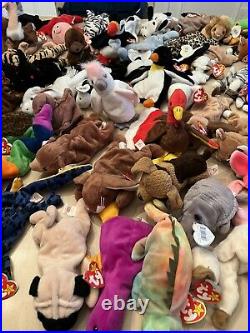 Wide Collection Beanie Babies. 60 plus with lots of rare ones